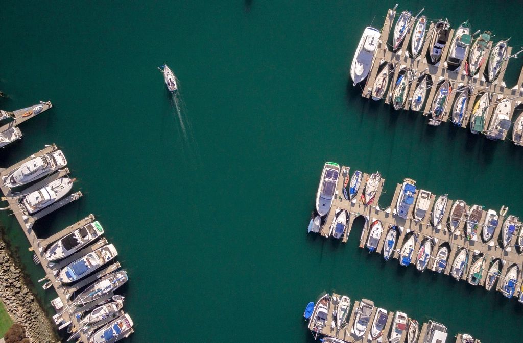 Boats moored at the harbour