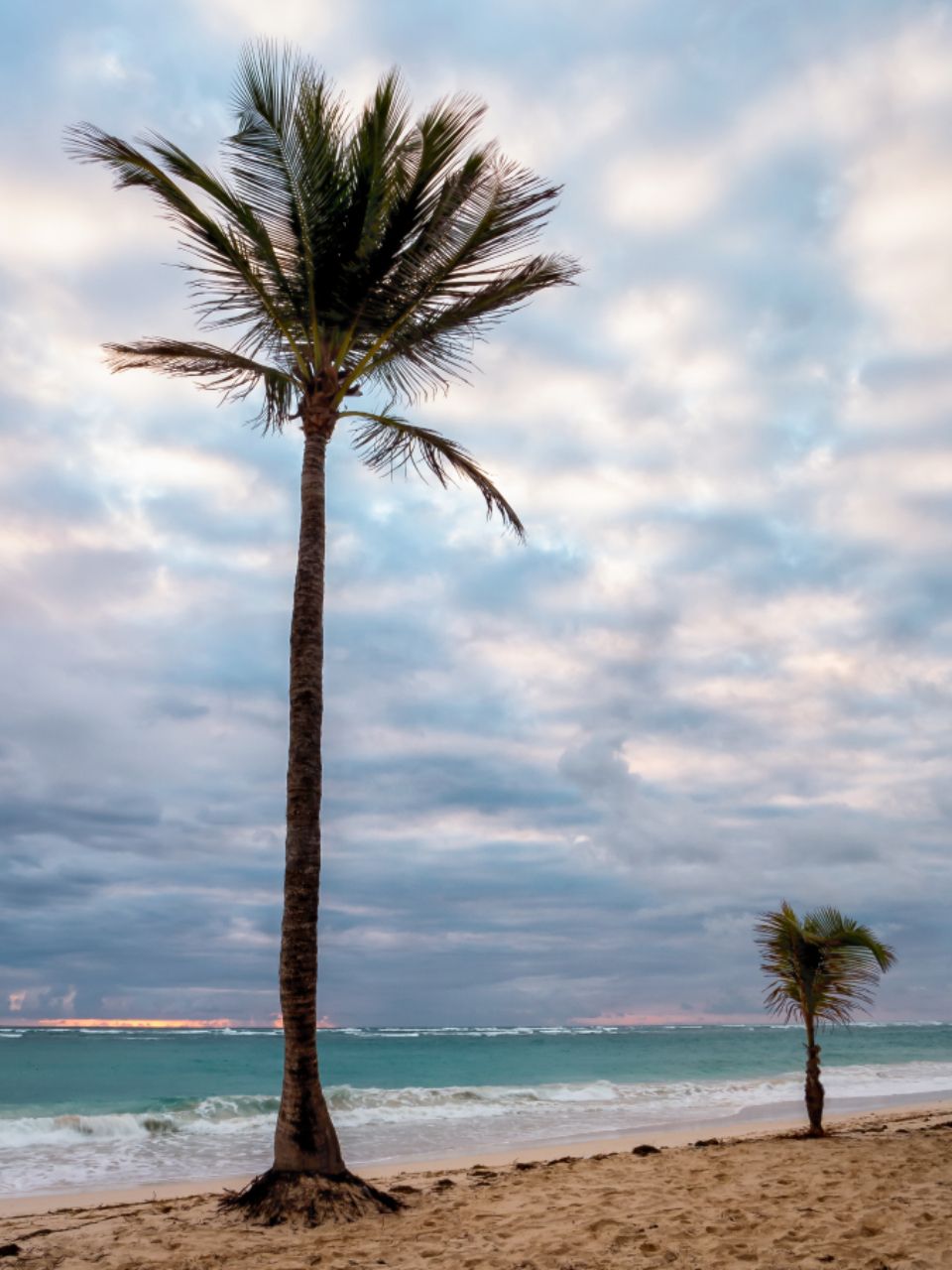 The beach and the water beyond it